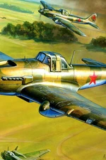 伊尔-2攻击机（Ilyushin Il-2）图片壁纸