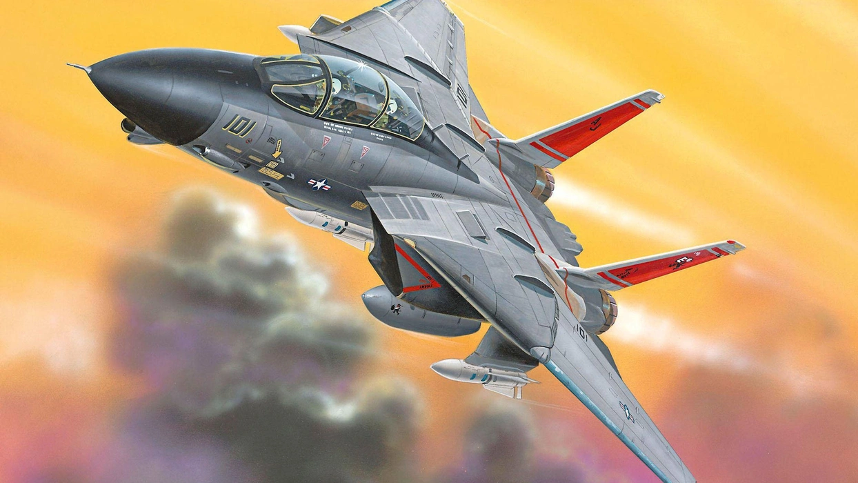 F-14雄猫战斗机（F-14 fighter）图片壁纸