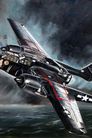 P-61战斗机（P-61 Black Widow）图片壁纸