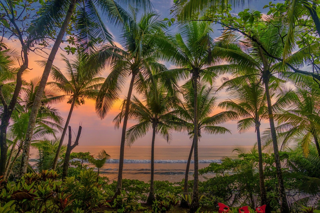 棕榈树金色沙滩海景旅游风景桌面