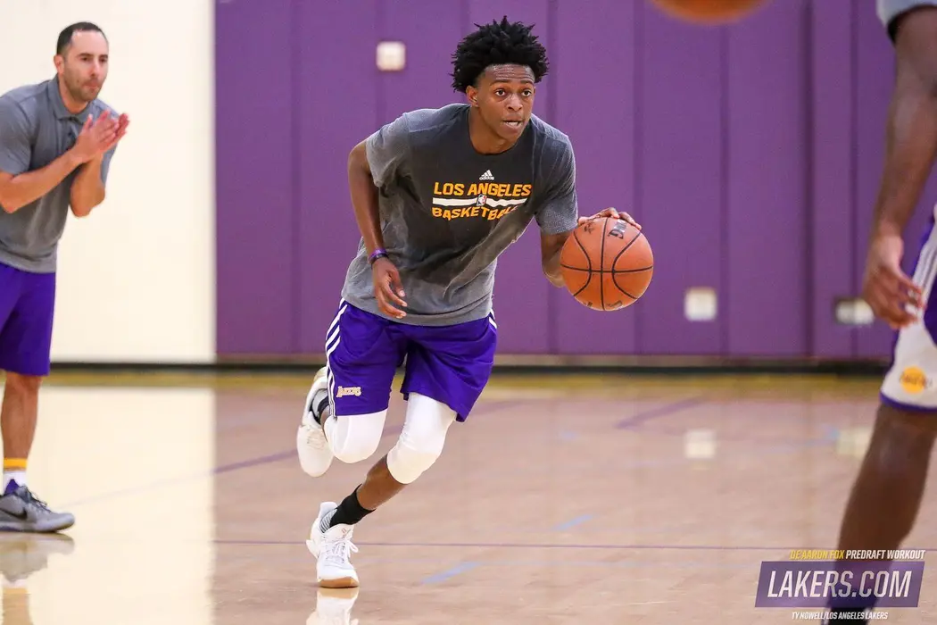 达龙·福克斯（De'Aaron Fox）高清桌面壁纸
