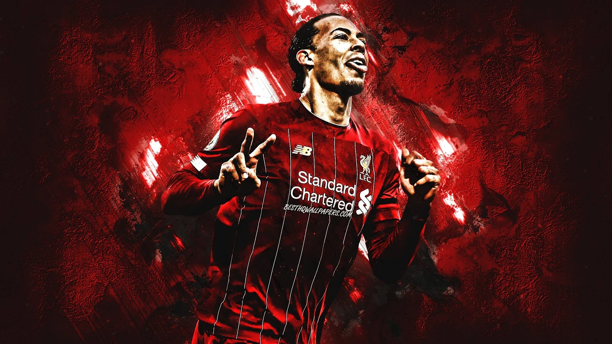 维吉尔·范戴克（ Virgil Van Dĳk）高清图片桌面壁纸