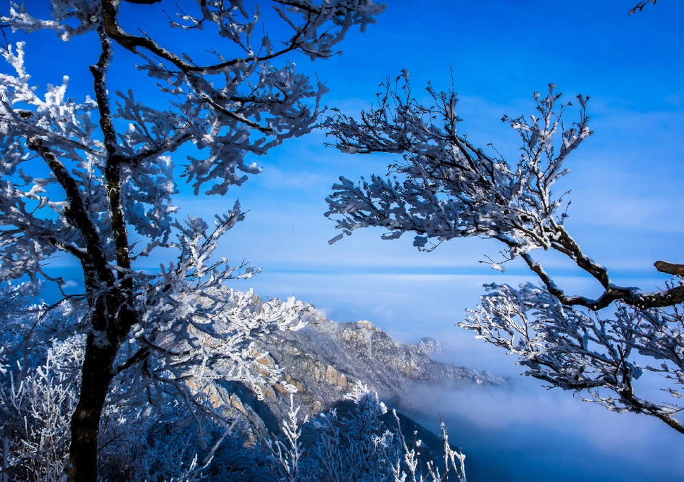 唯美仙境雪后老君山旅游风景桌面