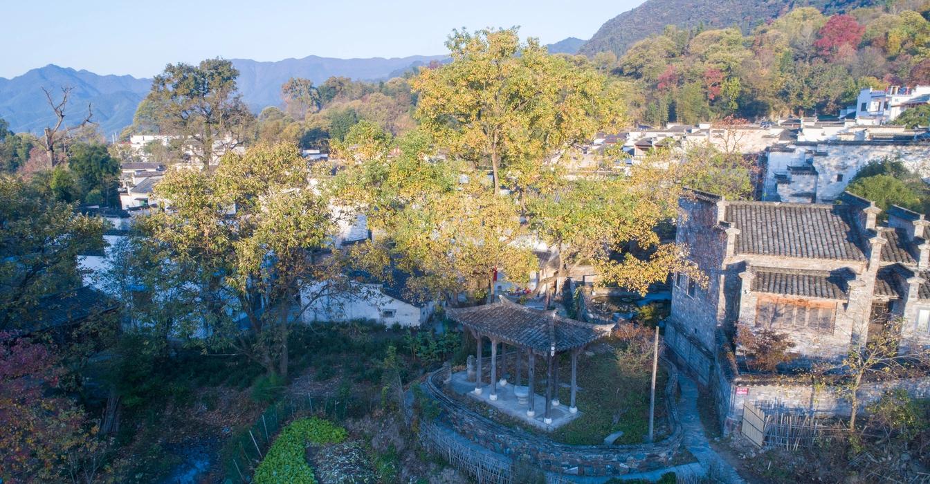 秋季的安徽塔川村图片旅游风景桌面