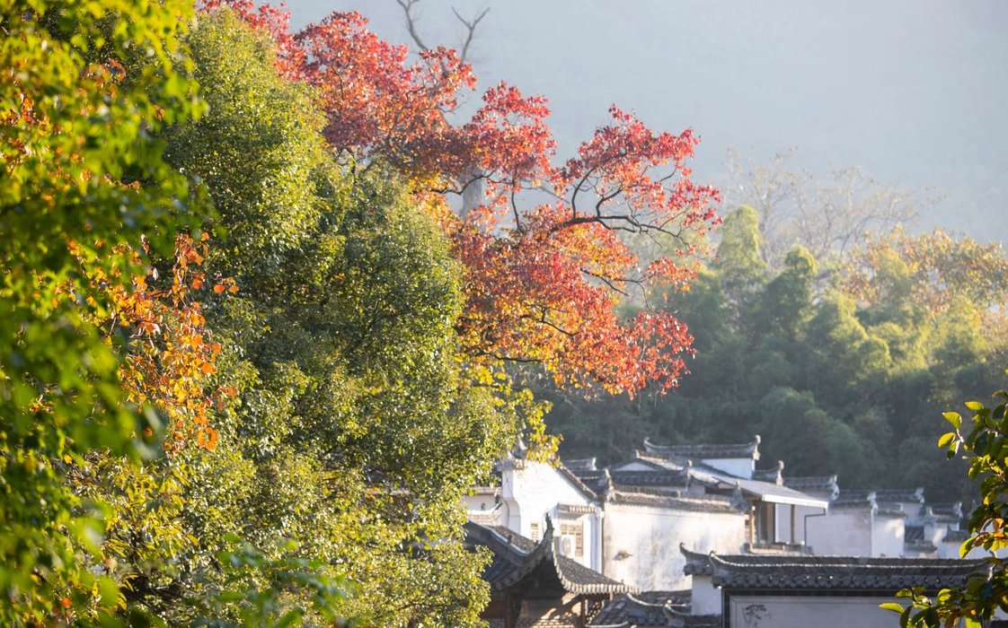 秋季的安徽塔川村图片旅游风景桌面