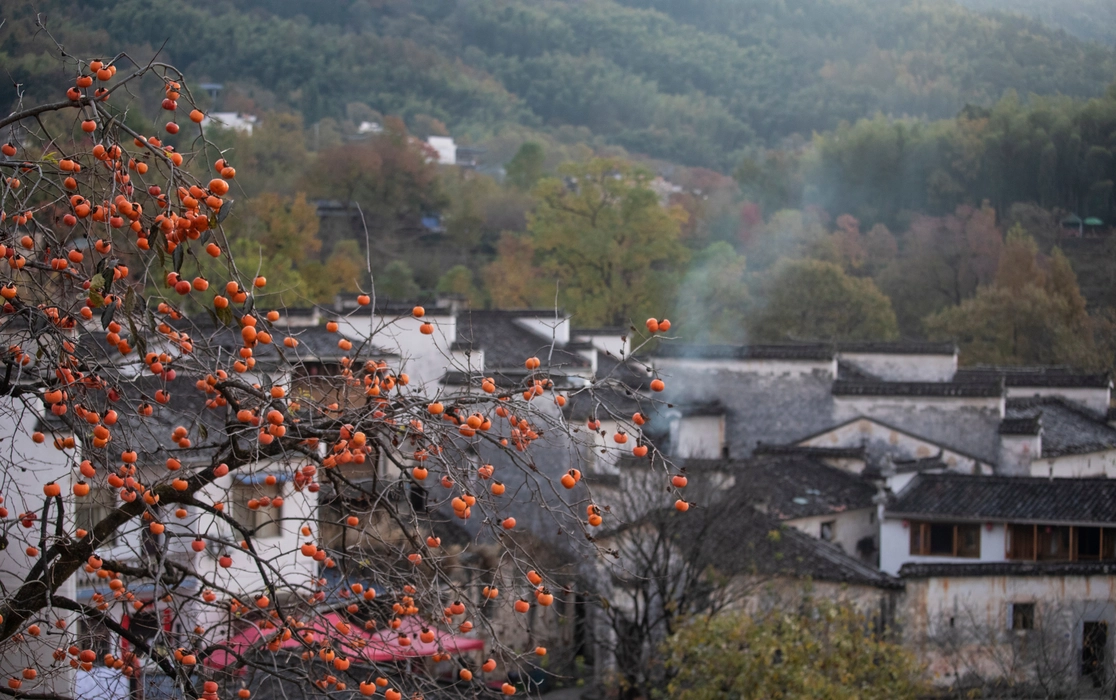 秋季的安徽塔川村图片旅游风景桌面