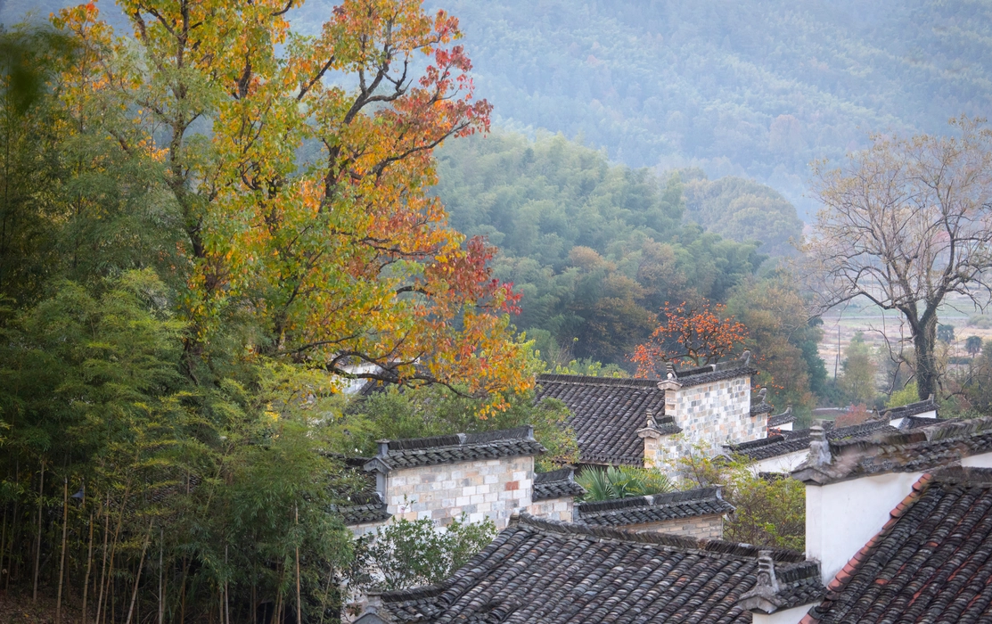 秋季的安徽塔川村图片旅游风景桌面