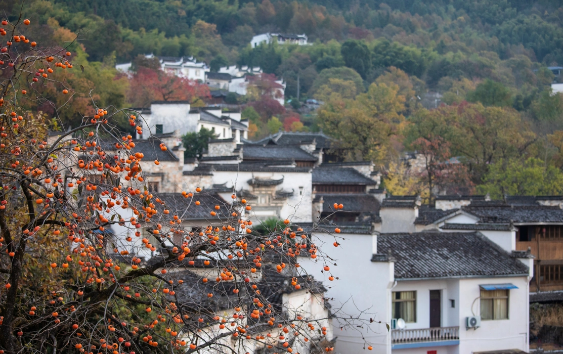 秋季的安徽塔川村图片旅游风景桌面