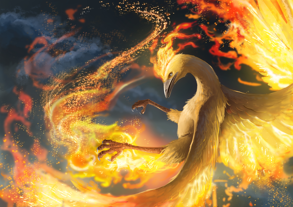 《神奇宝贝》火焰鸟 Moltres 图片桌面壁纸