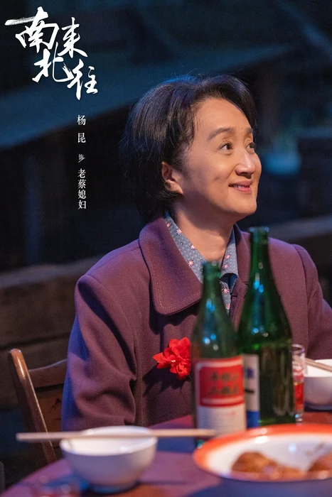 电视剧《南来北往》群像高清海报图片