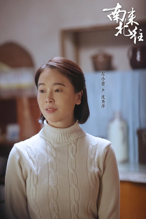 电视剧《南来北往》群像高清海报图片
