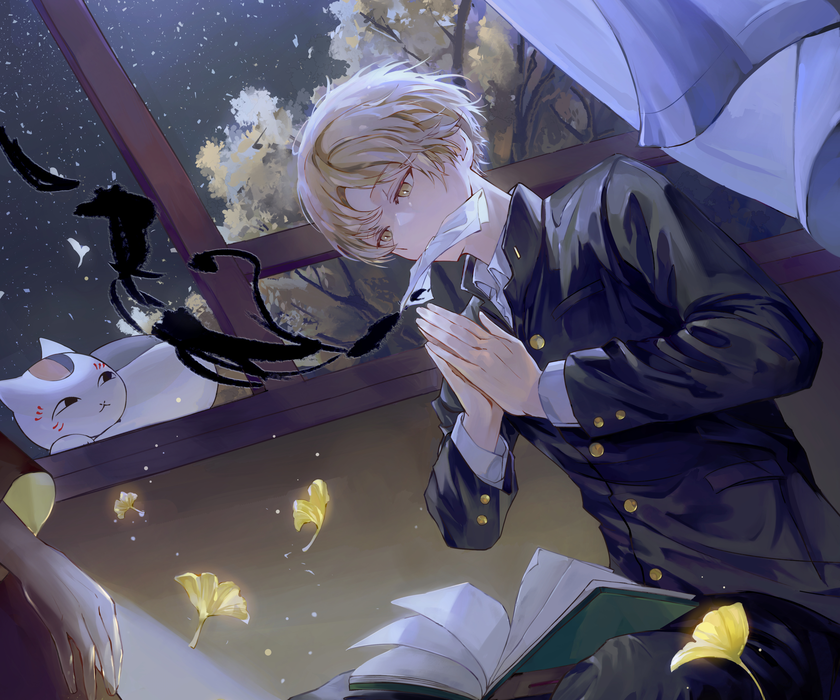 《夏目友人帐》夏目贵志 Takashi Natsume 图片壁纸