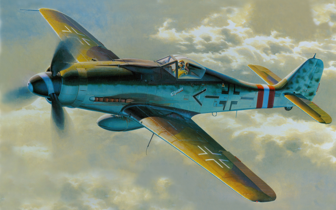 Fw190战斗机（Fw-190 Fighter）图片壁纸