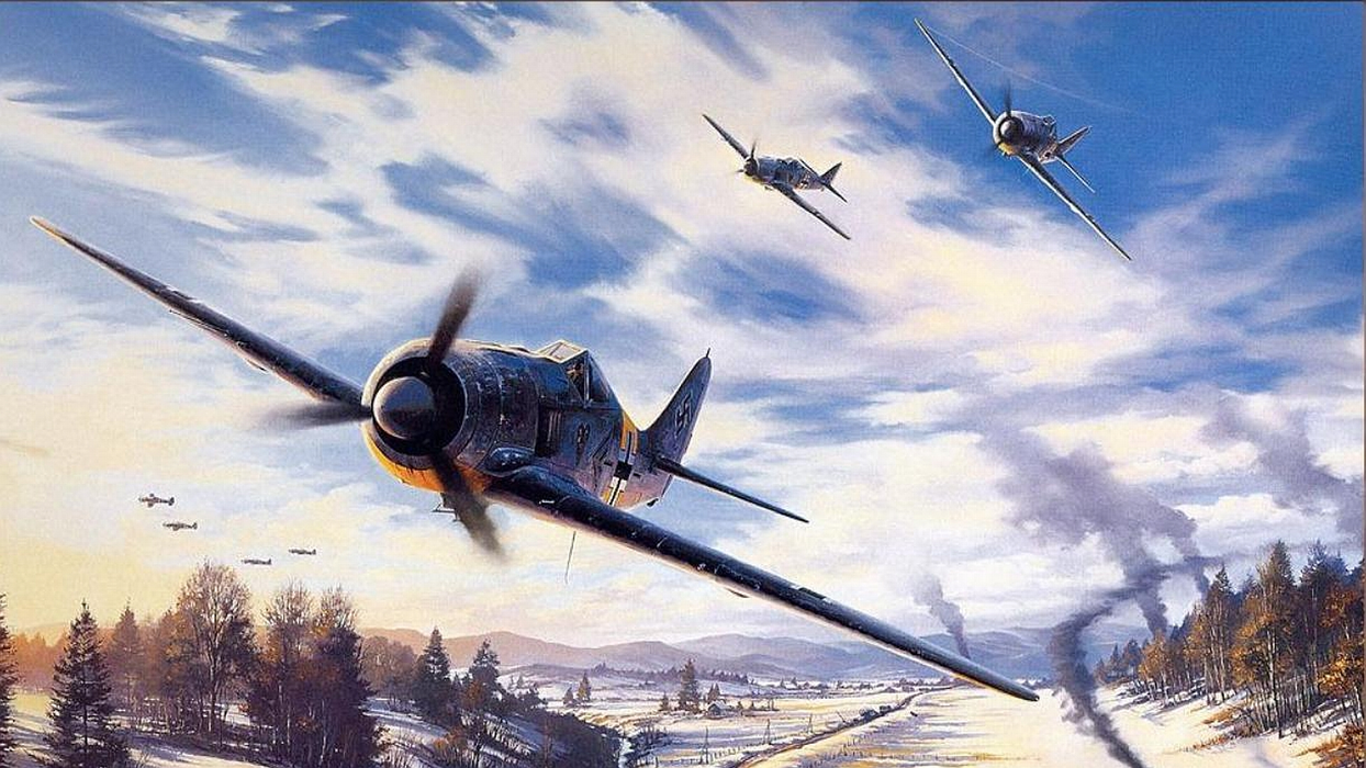 FW-190百⾆鸟战⽃机图片壁纸