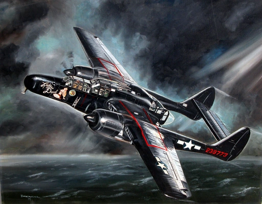 P-61战斗机（P-61 Black Widow）图片壁纸