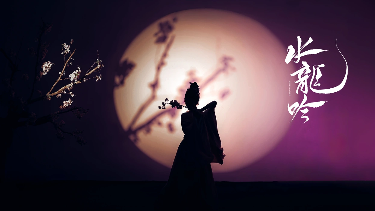 电视剧《水龙吟》江湖月夜图海报