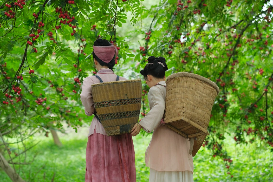 张婧仪《惜花芷》单人剧照图片壁纸