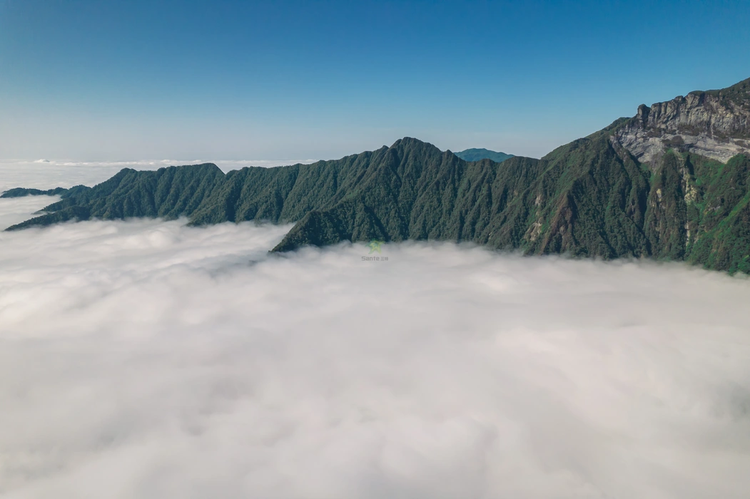 俯瞰梵净山云端仙境旅游风景桌面