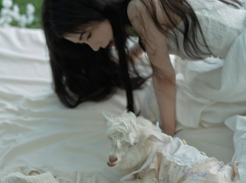 鞠婧祎森系白裙写真图片壁纸