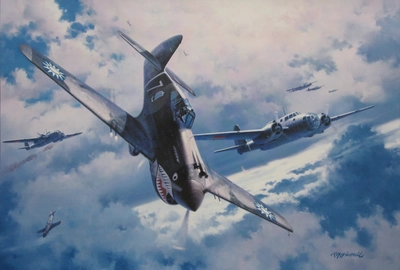 P-40战鹰战斗机图片桌面壁纸