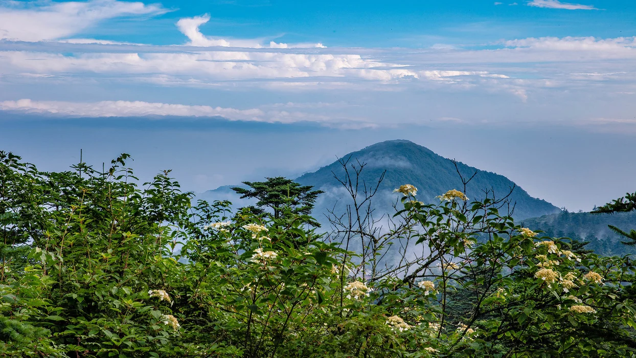 普贤菩萨道场峨眉山风景图片壁纸