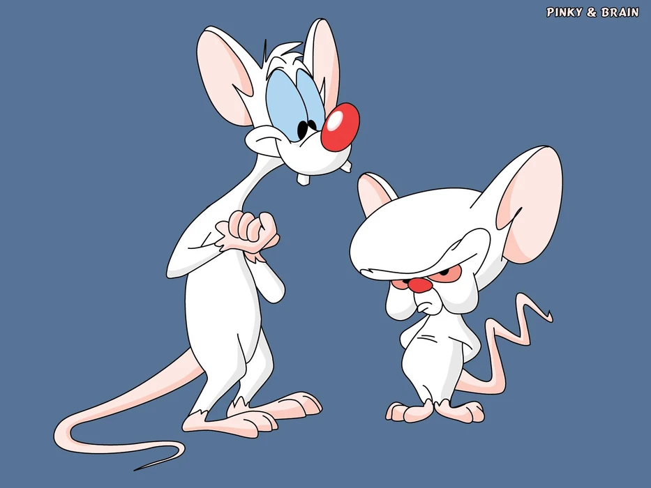 动漫《两只老鼠打天下》Pinky and the Brain 壁纸