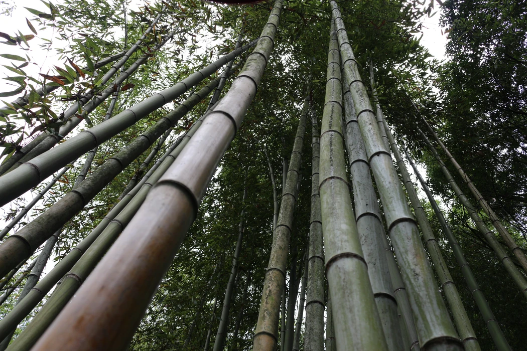 日本园林庭院唯美图片桌面壁纸