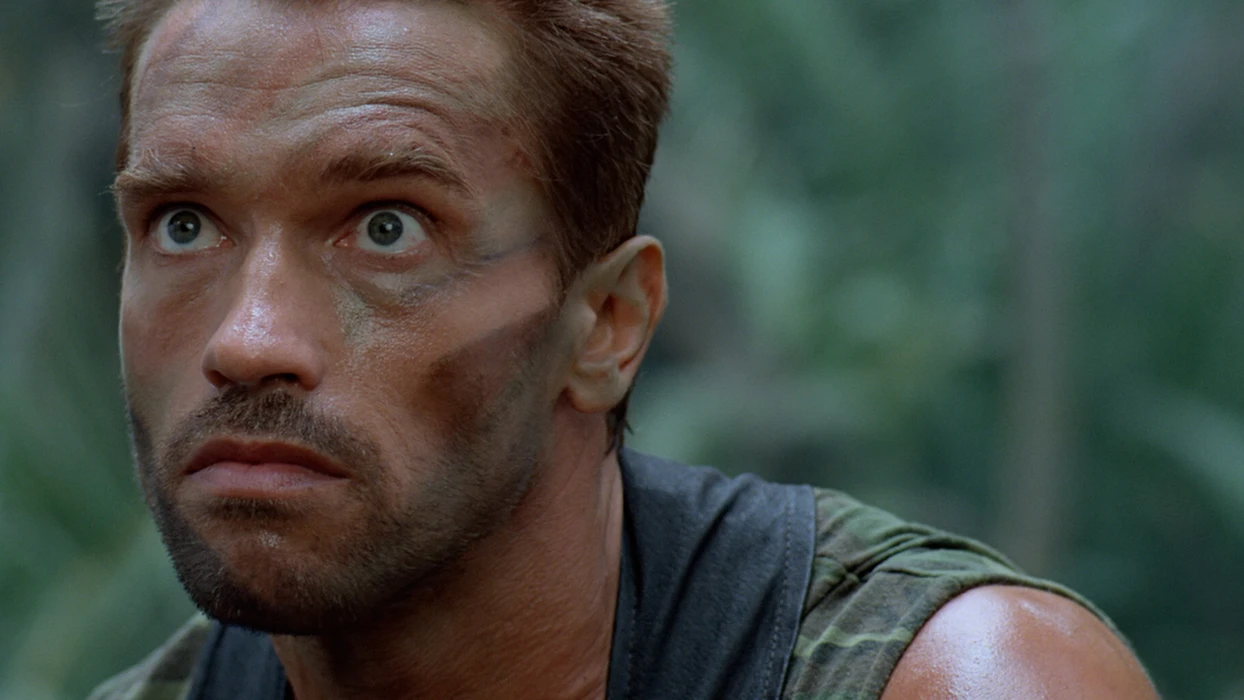 阿诺德·施瓦辛格（Arnold Schwarzenegger）壁纸