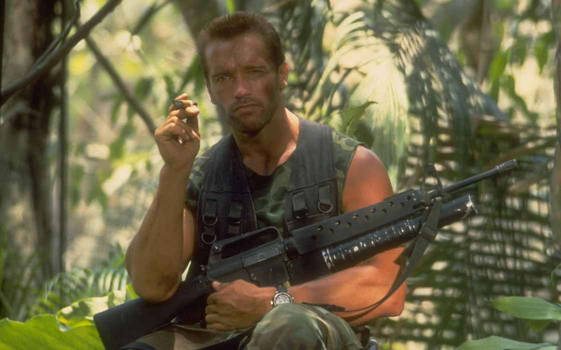 阿诺德·施瓦辛格（Arnold Schwarzenegger）壁纸