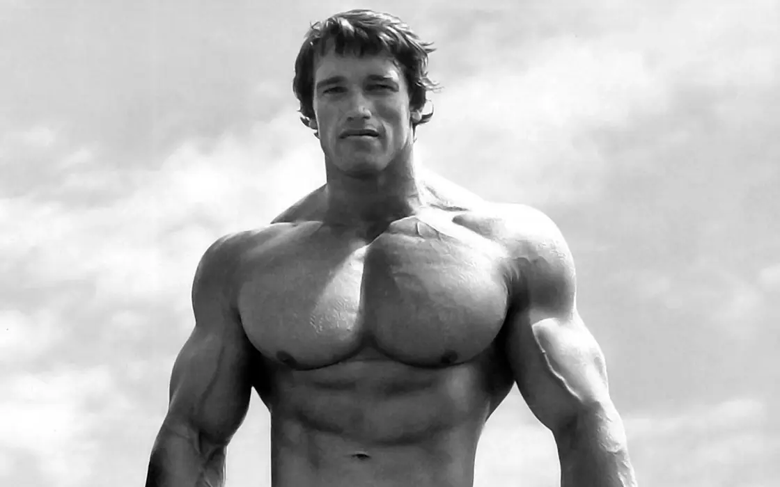 阿诺德·施瓦辛格（Arnold Schwarzenegger）壁纸