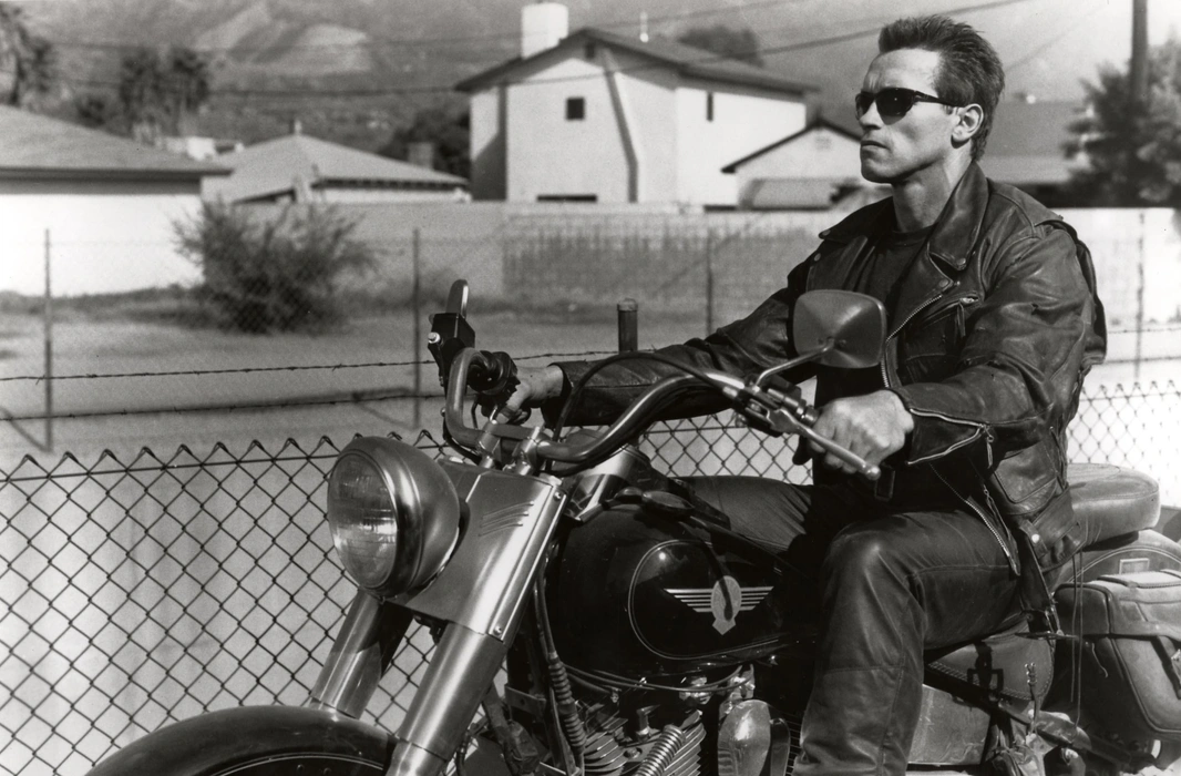 阿诺德·施瓦辛格（Arnold Schwarzenegger）壁纸