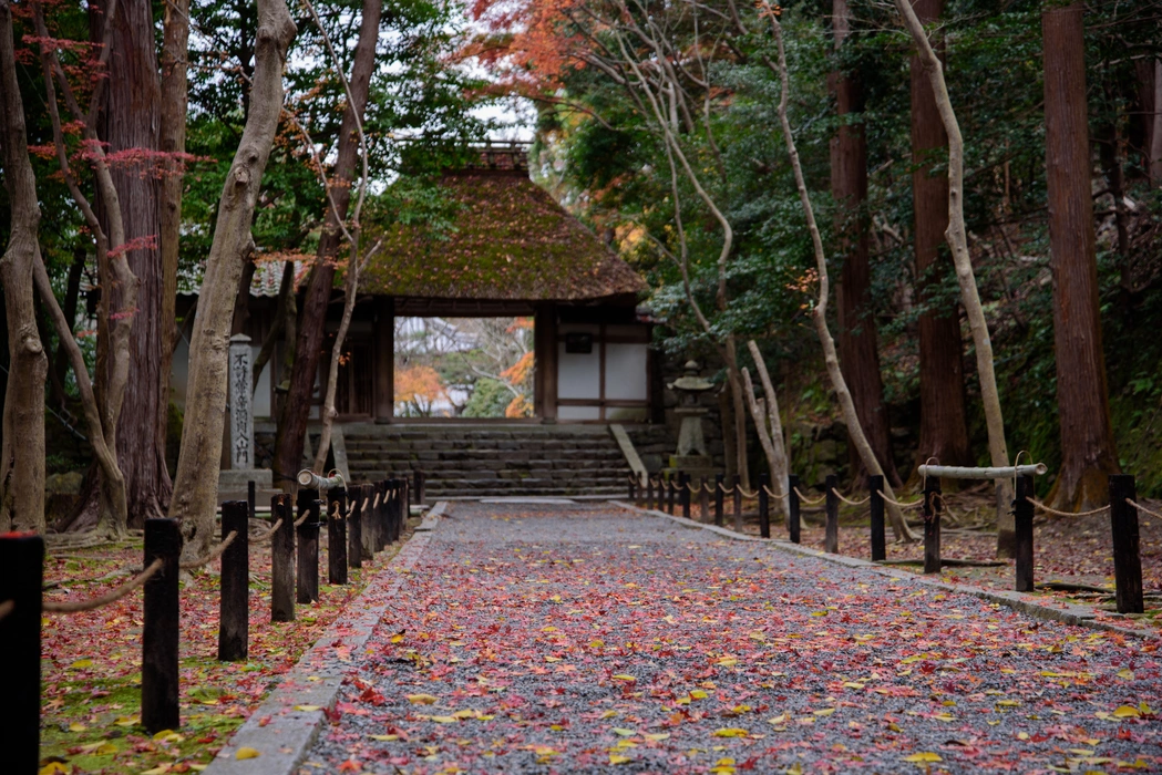 深秋寺庙红叶旅游风景桌面高清