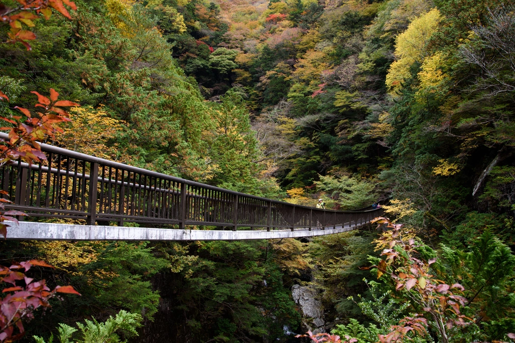 深秋寺庙红叶旅游风景桌面高清