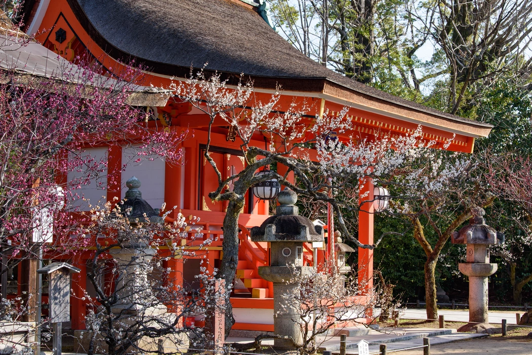 深秋寺庙红叶旅游风景桌面高清