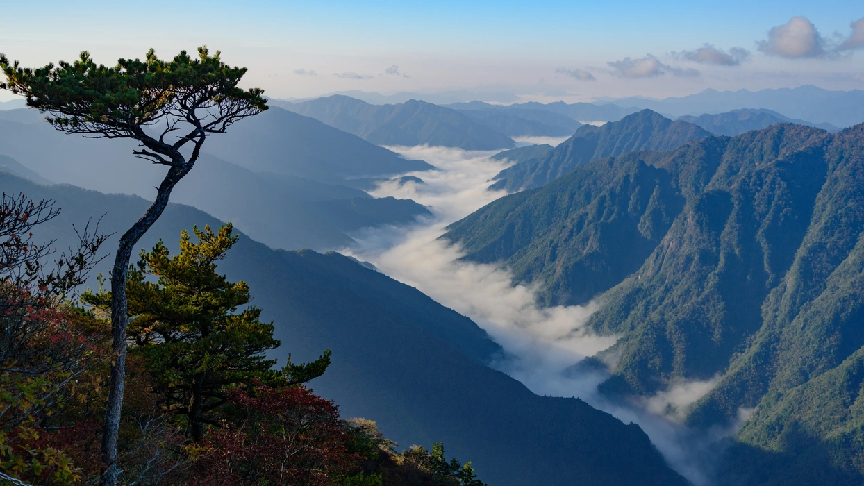 深秋寺庙红叶旅游风景桌面高清