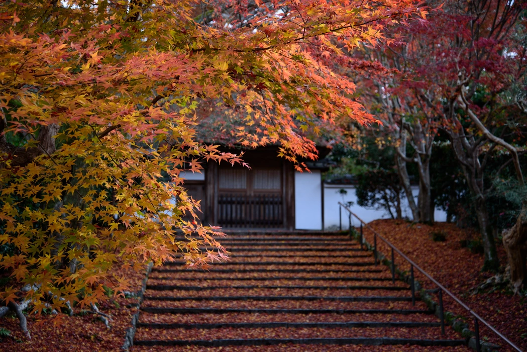 深秋寺庙红叶旅游风景桌面高清