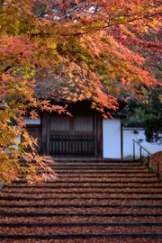 深秋寺庙红叶旅游风景桌面高清