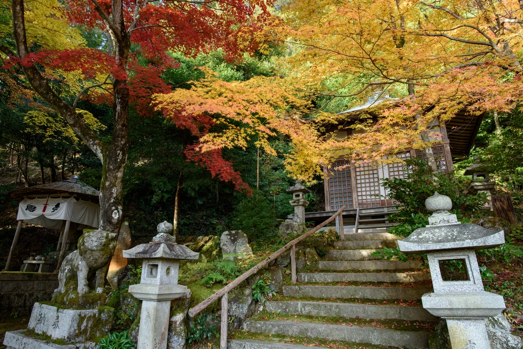 深秋寺庙红叶旅游风景桌面高清
