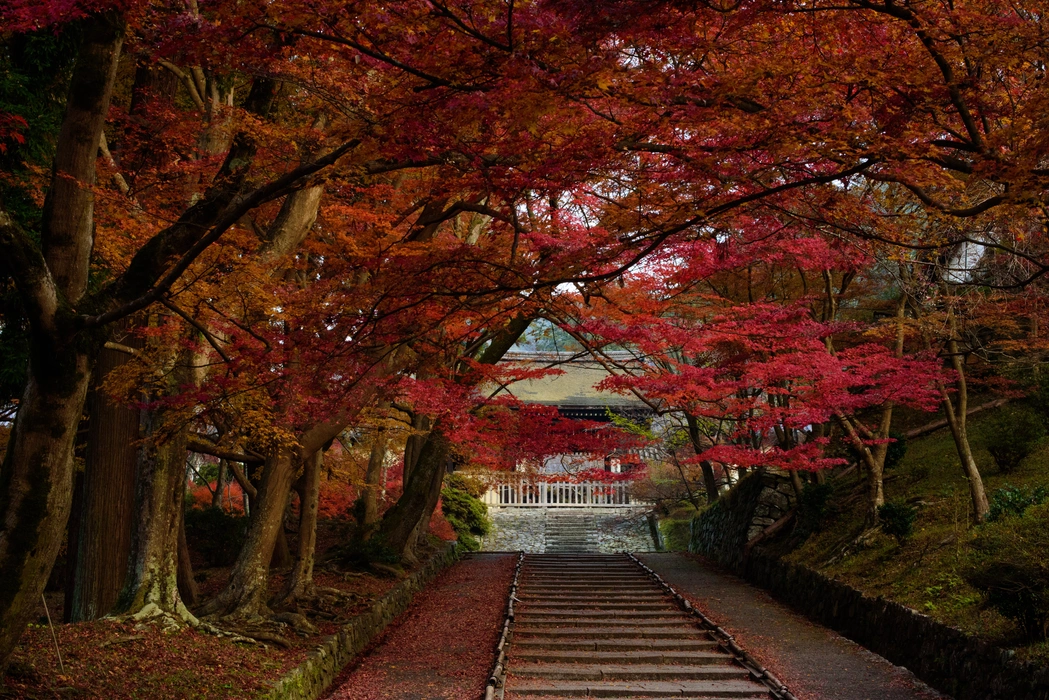 深秋寺庙红叶旅游风景桌面高清