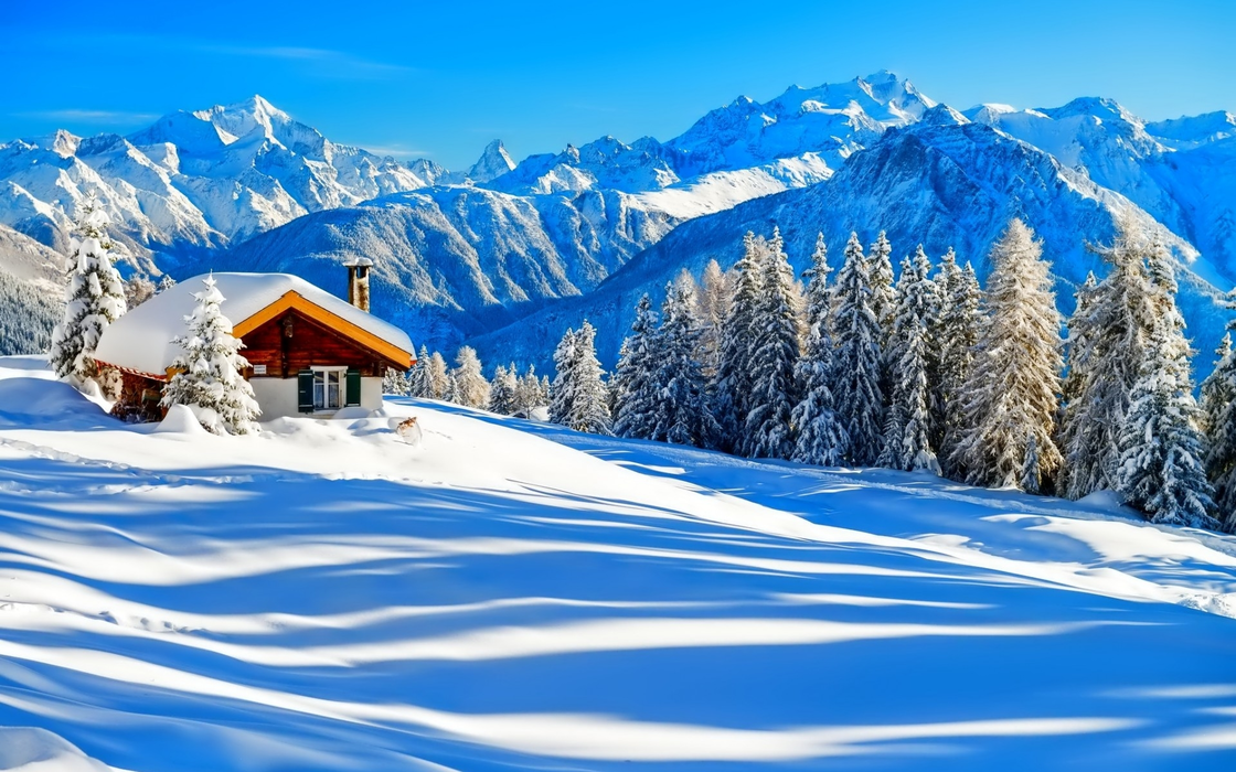 冬日里的雪屋松树静谧风景壁纸