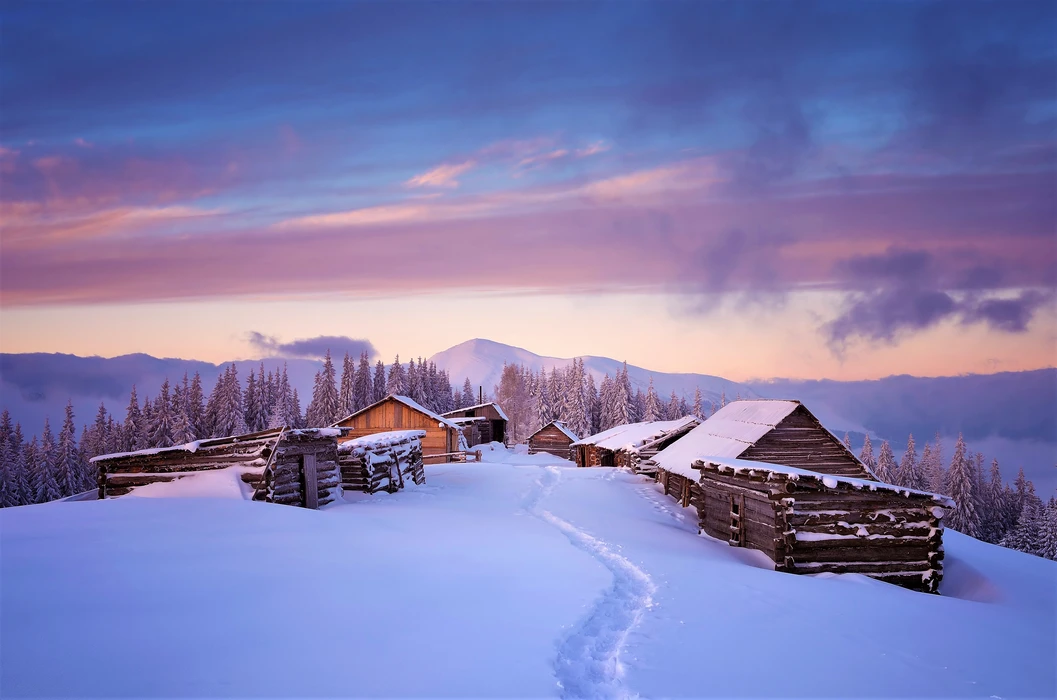 冬日里的雪屋松树静谧风景壁纸