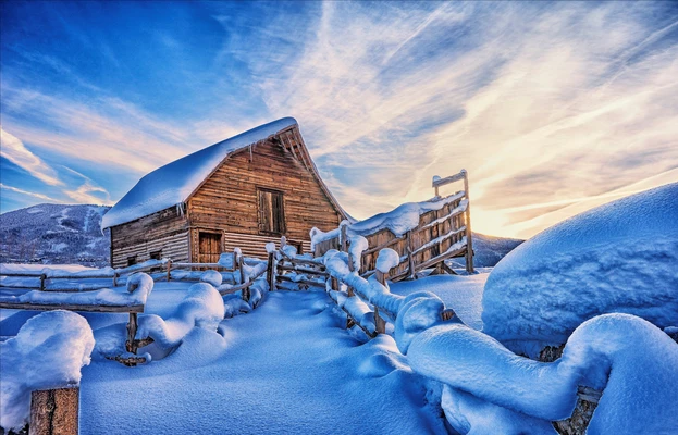 冬日里的雪屋松树静谧风景壁纸