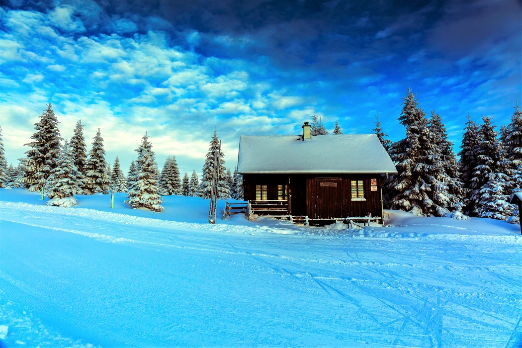 冬日里的雪屋松树静谧风景壁纸