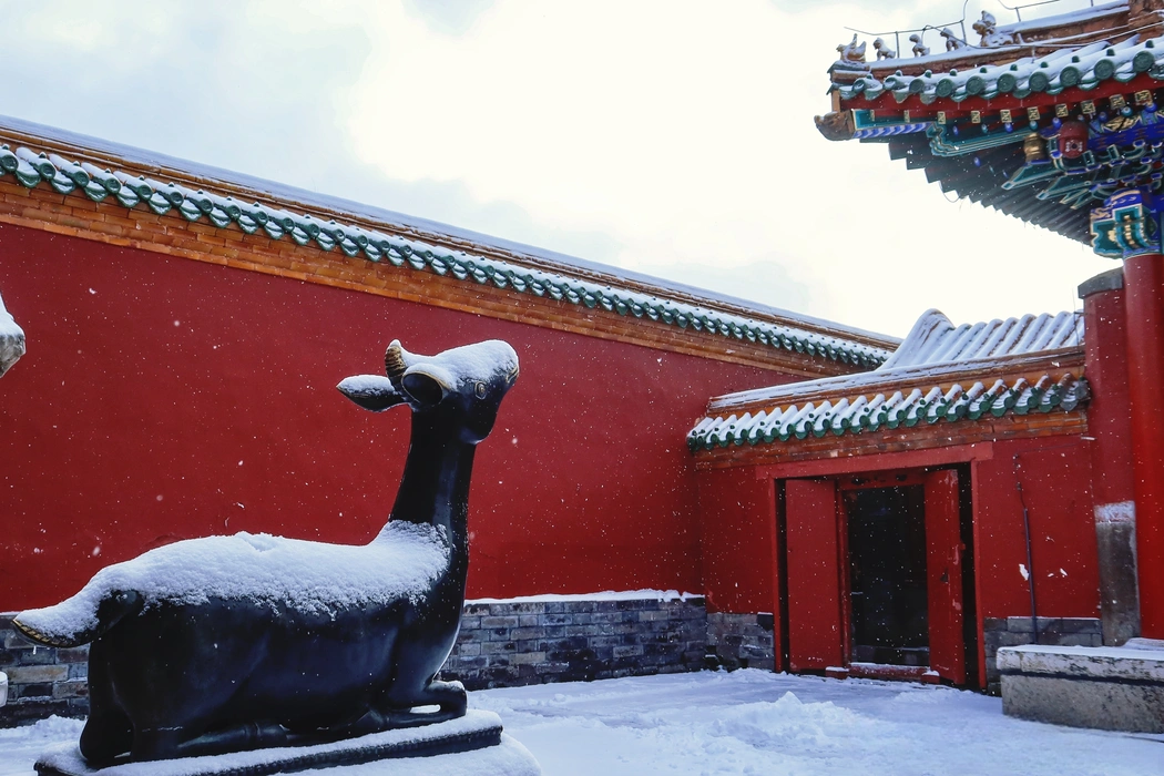2024年沈阳故宫初雪风景壁纸