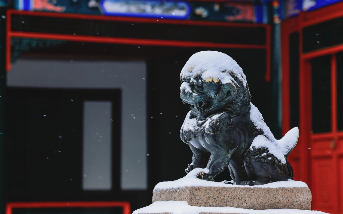 2024年沈阳故宫初雪风景壁纸