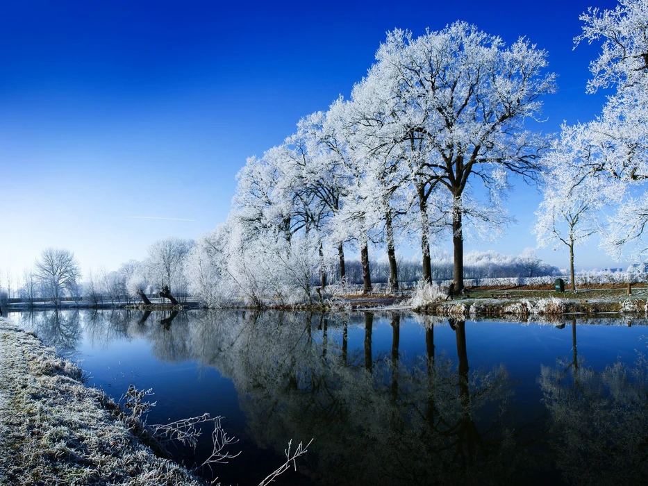 树木雪山湖泊倒影静谧风景壁纸