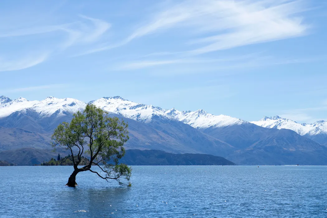 树木雪山湖泊倒影静谧风景壁纸