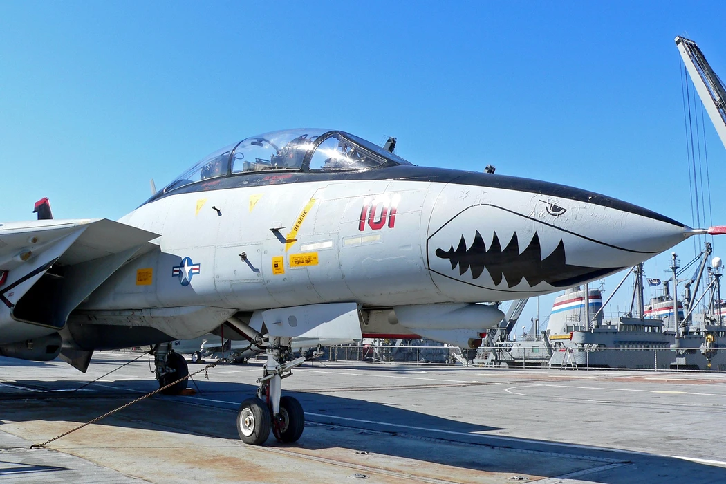 F-14战斗机（F-14 fighter）图片壁纸