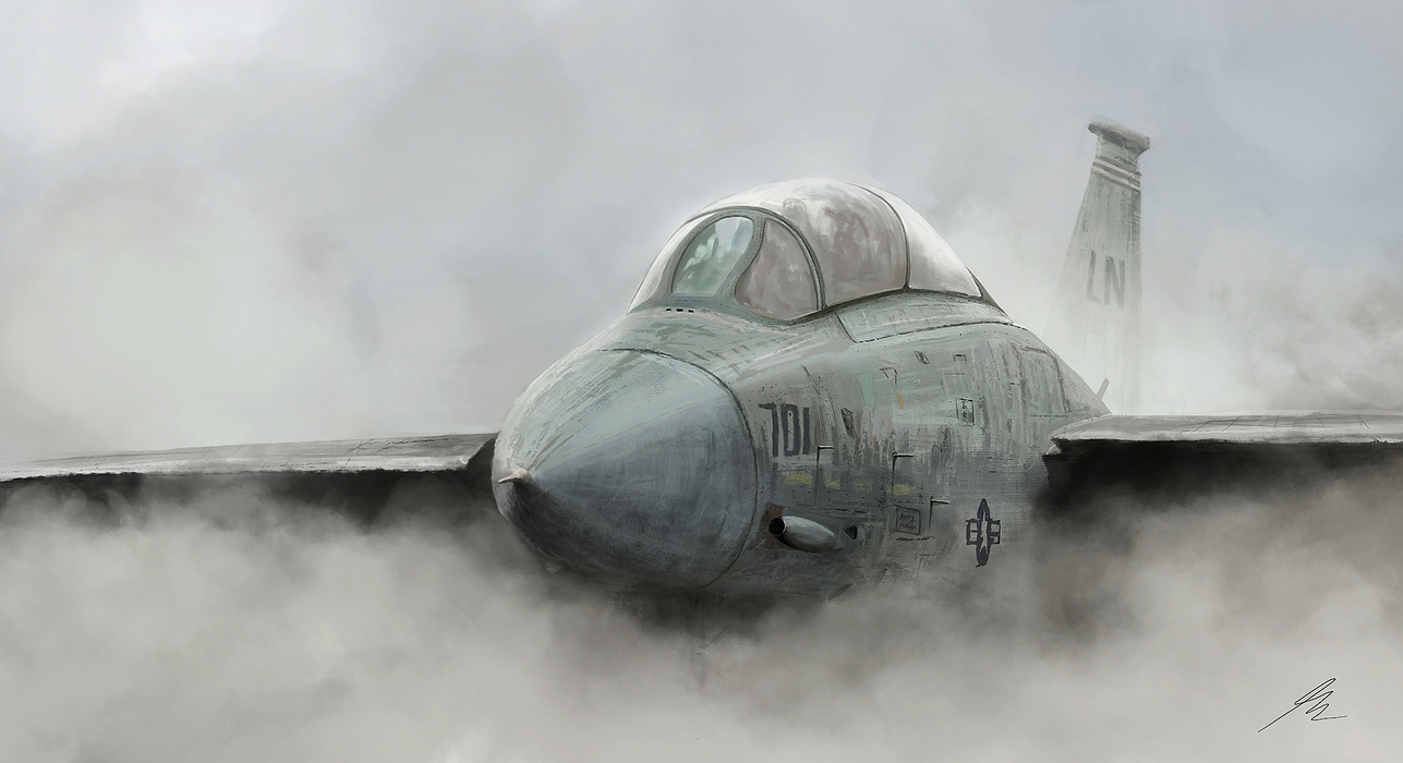 F-14战斗机（F-14 fighter）图片壁纸