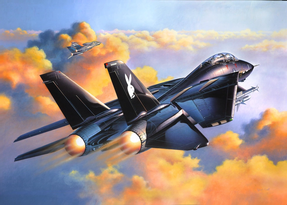 F-14战斗机（F-14 fighter）图片壁纸